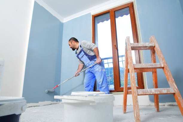 Shanor Northvue, PA Mold Removal Company