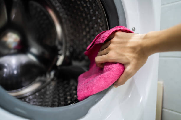  Shanor Northvue, PA Mold Removal Pros