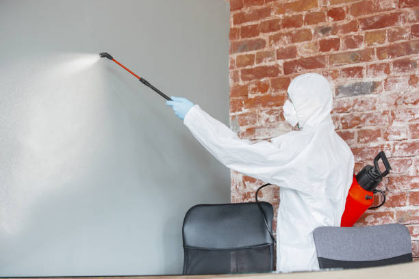 Best Asbestos and Lead Testing During Mold Inspection  in Shanor Northvue, PA