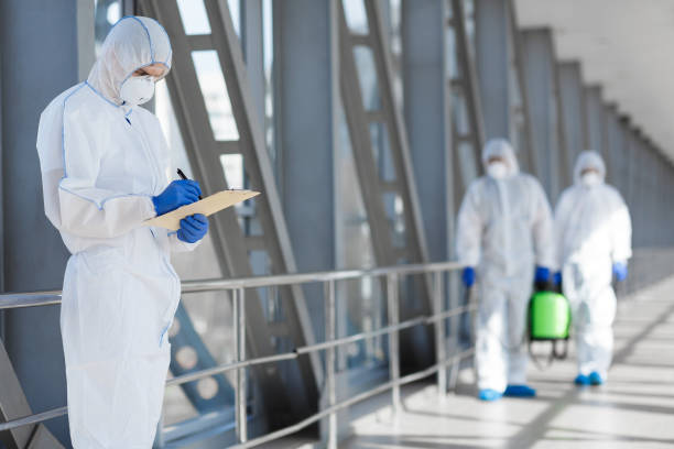 Best Basement Mold Removal  in Shanor Northvue, PA