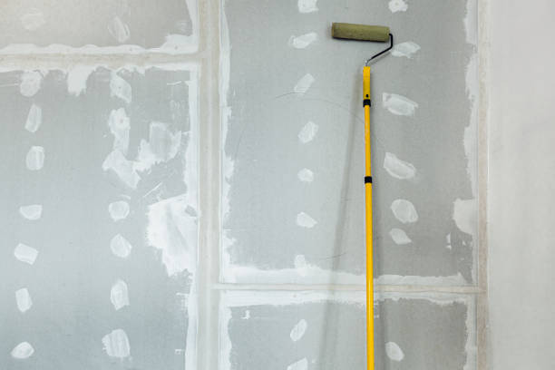 Best Residential Mold Inspection & Testing  in Shanor Northvue, PA