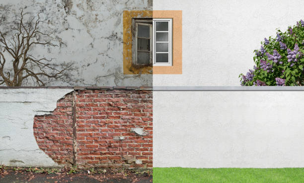 Best Mold Prevention Services  in Shanor Northvue, PA