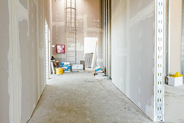 Best Flood Damage  in Shanor Northvue, PA