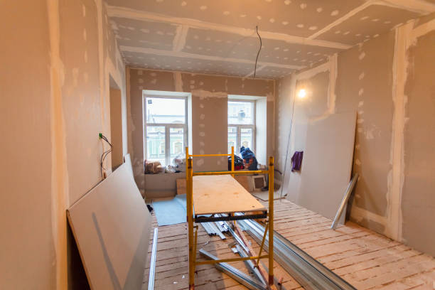 Mold Odor Removal Services in Shanor Northvue, PA
