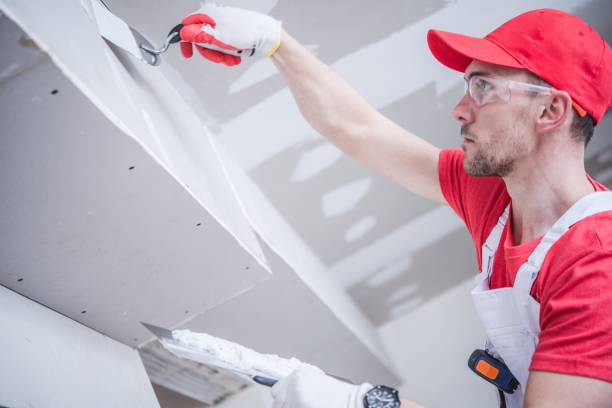 Best Air Quality Testing for Mold Spores  in Shanor Northvue, PA